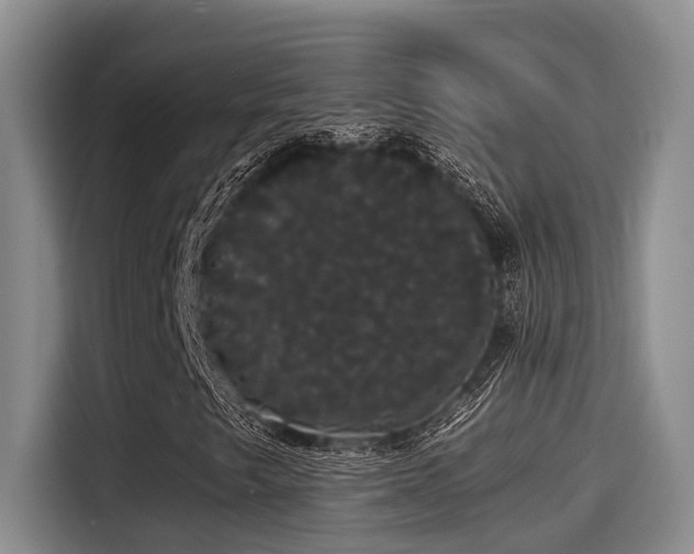 X0000115271249200911061301