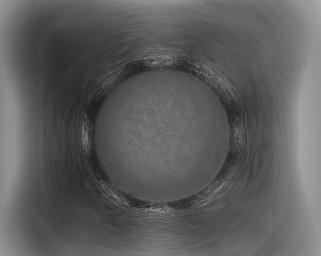 X0000115271250200911061301