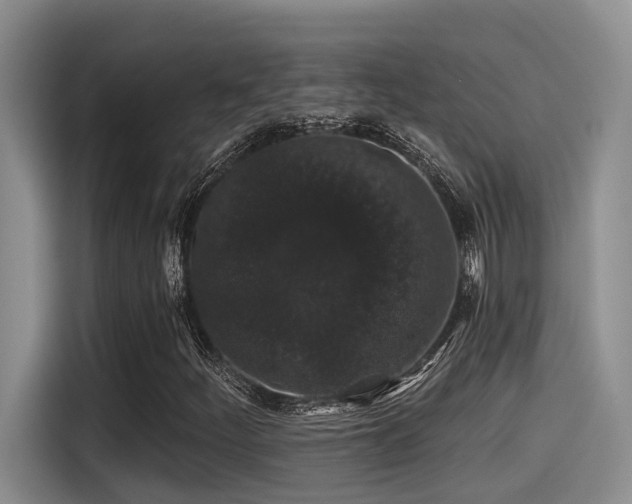 X0000115271252200911061301