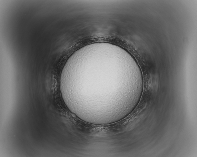 X0000115271253200911061301