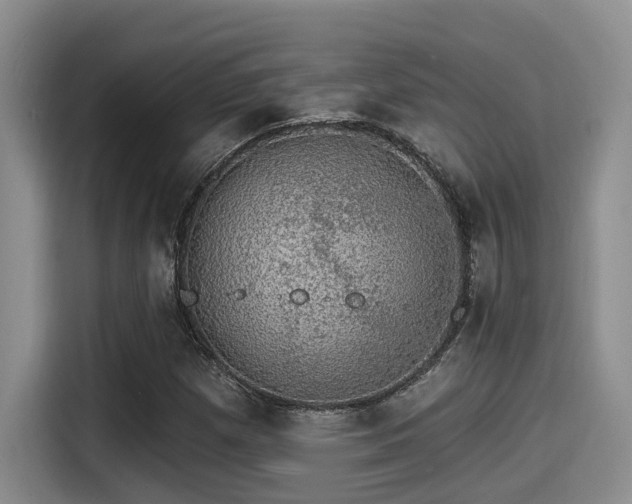 X0000115271257200911061301