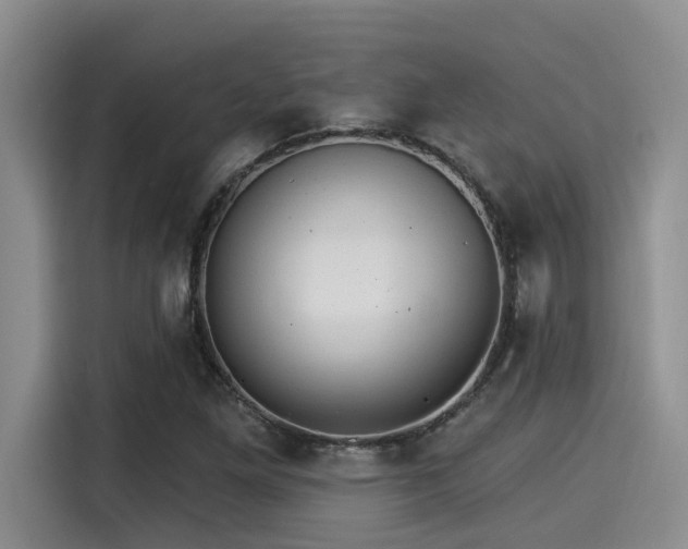 X0000115271261200911061301