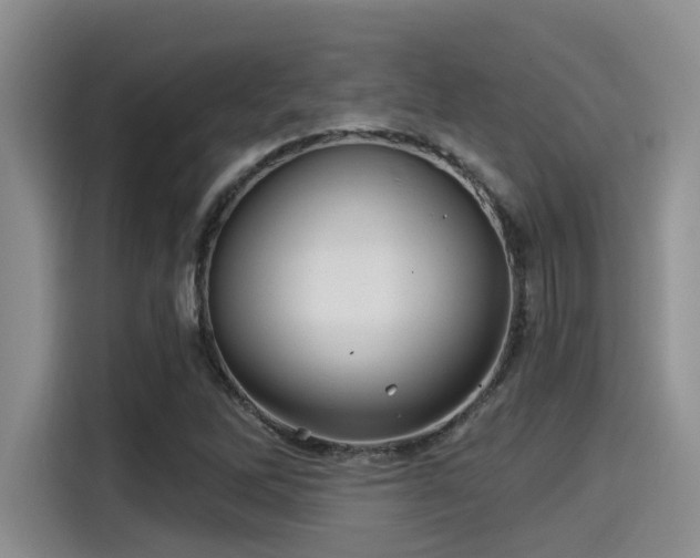 X0000115271262200911061301