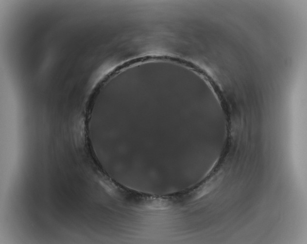 X0000115271263200911061301