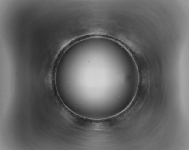 X0000115271264200911061301