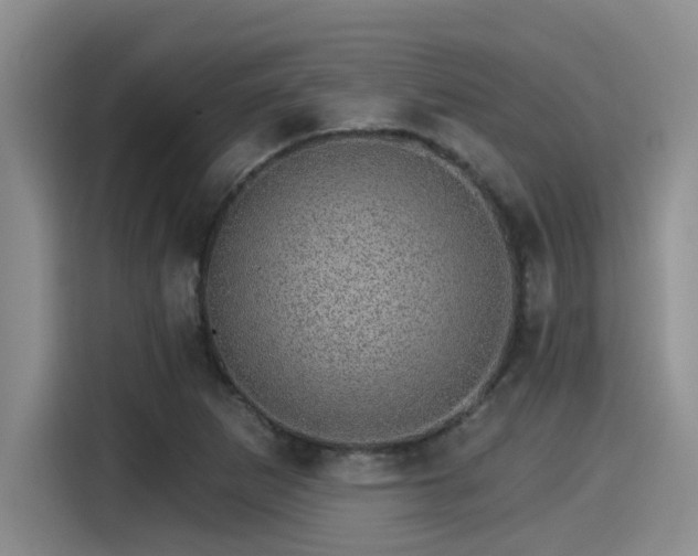 X0000115271265200911061301