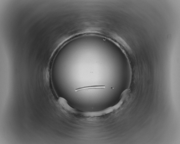 X0000115271268200911061300