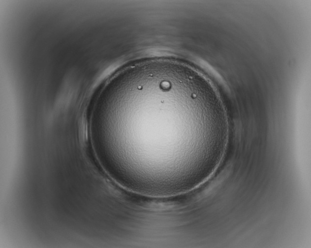 X0000115271269200911061300