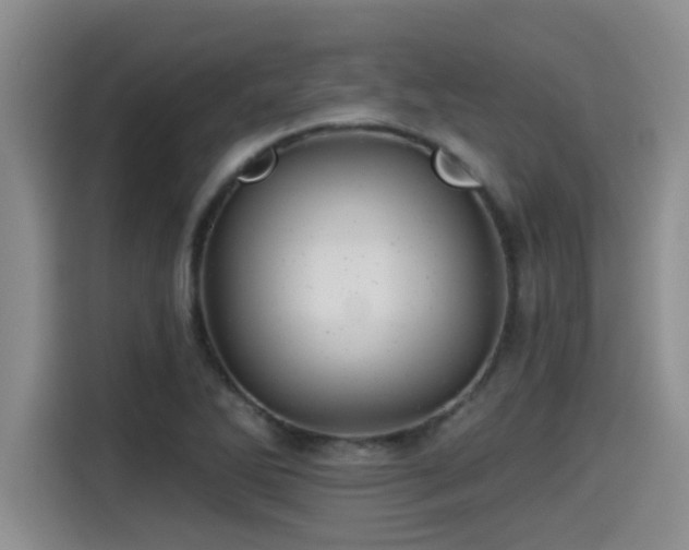 X0000115271270200911061300
