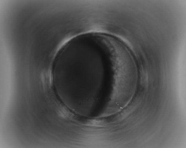 X0000115271271200911061300