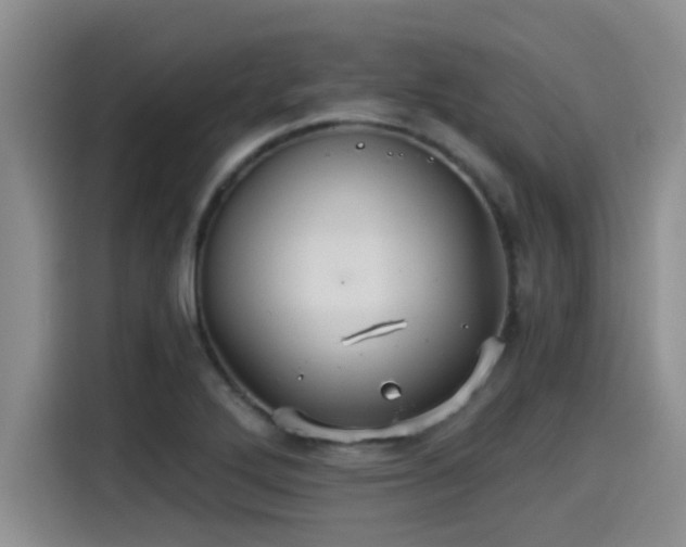 X0000115271272200911061300