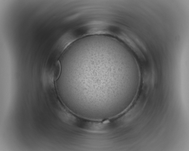 X0000115271273200911061300