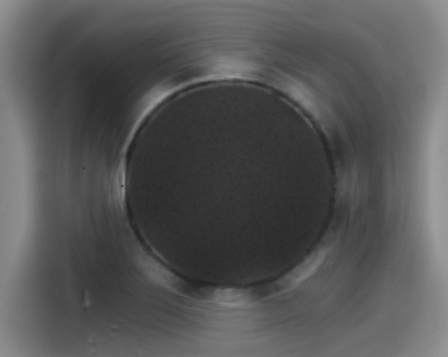 X0000115271275200911061300