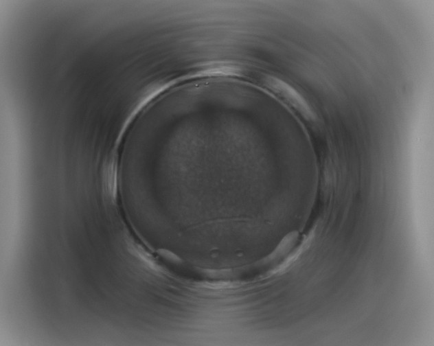 X0000115271276200911061300