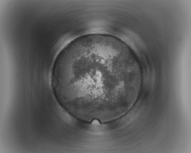 X0000115271277200911061300