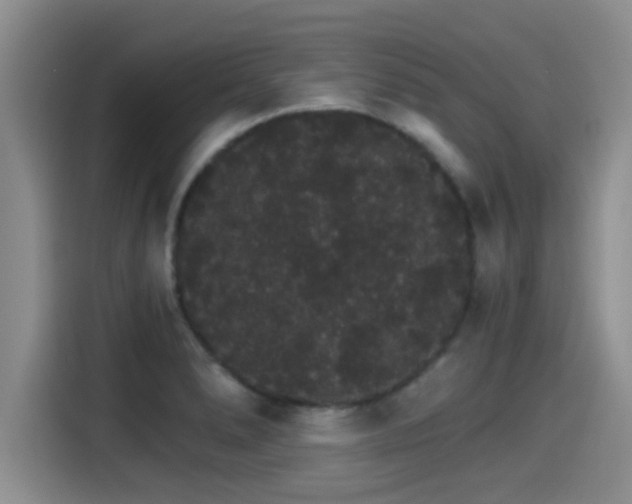 X0000115271278200911061300