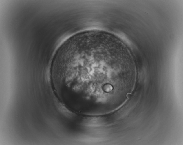 X0000115271279200911061300