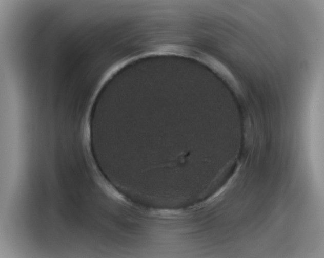 X0000115271280200911061300
