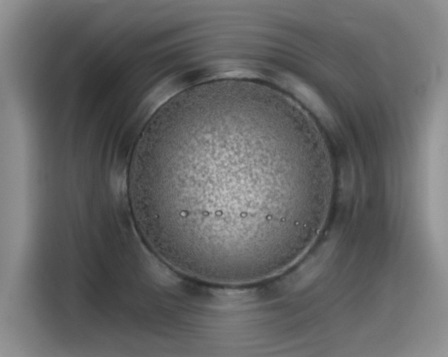 X0000115271281200911061300