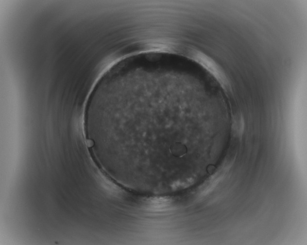X0000115271283200911061300
