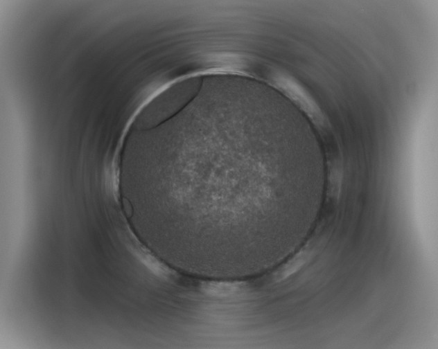 X0000115271284200911061300