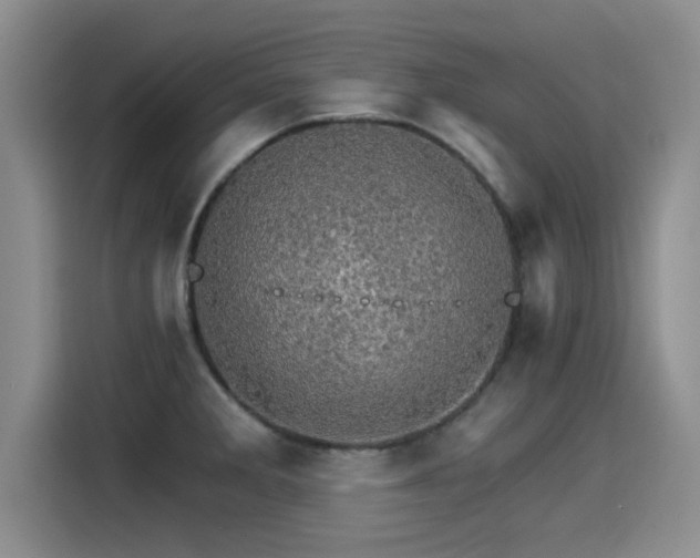 X0000115271285200911061300