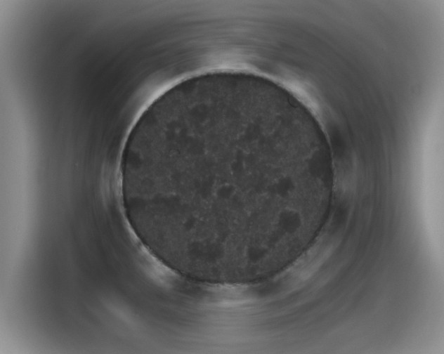 X0000115271287200911061300