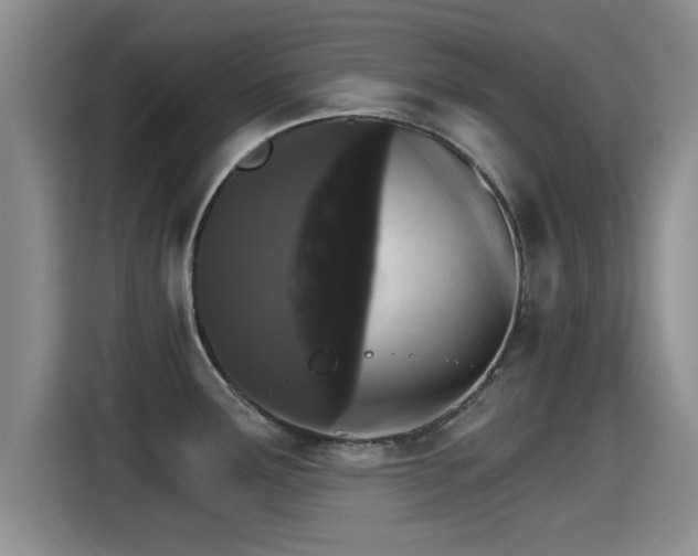 X0000115271291200911061300