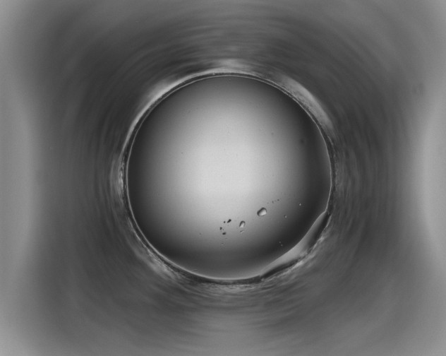 X0000115271292200911061300