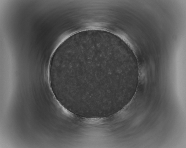 X0000115271294200911061300