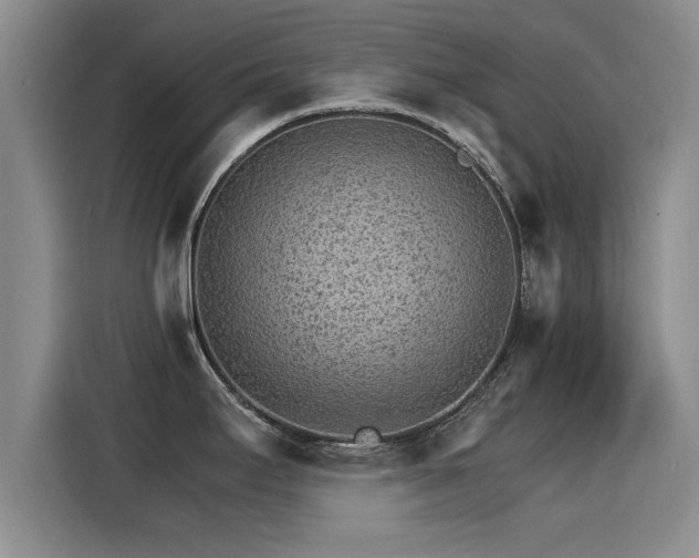 X0000115271295200911061300