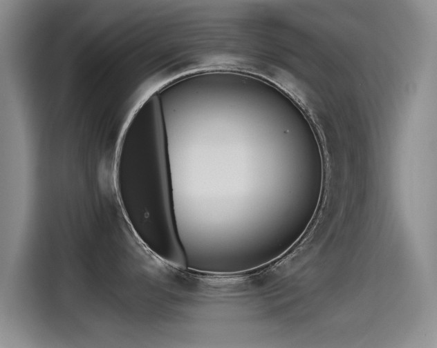 X0000115271296200911061300