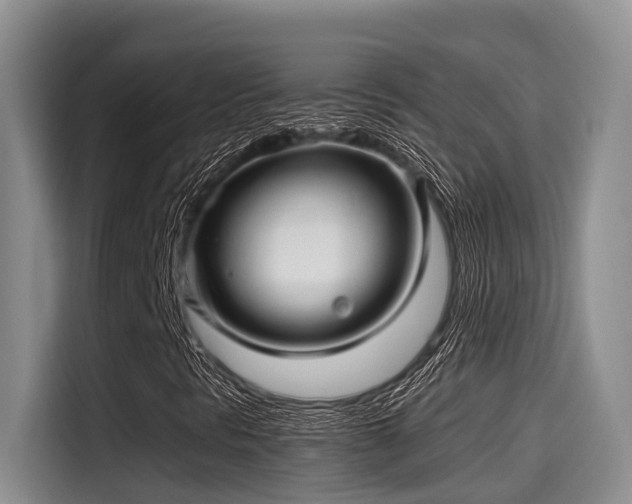 X0000115271297200911061259