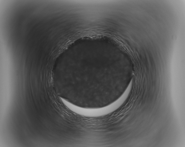X0000115271298200911061259