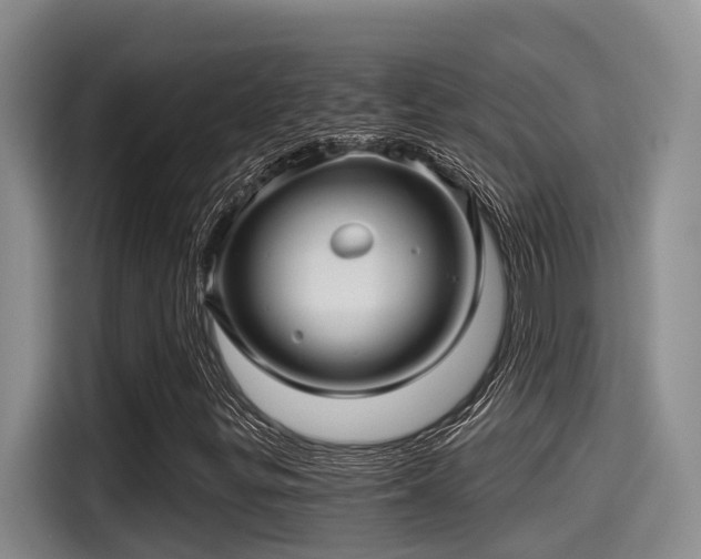 X0000115271299200911061300