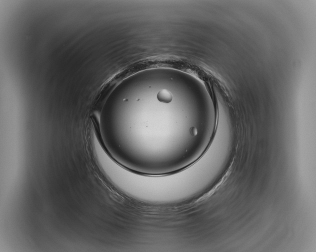 X0000115271305200911061300