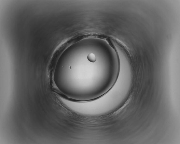 X0000115271309200911061300