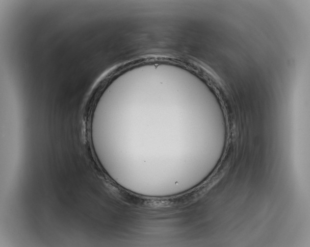 X0000115271310200911061300