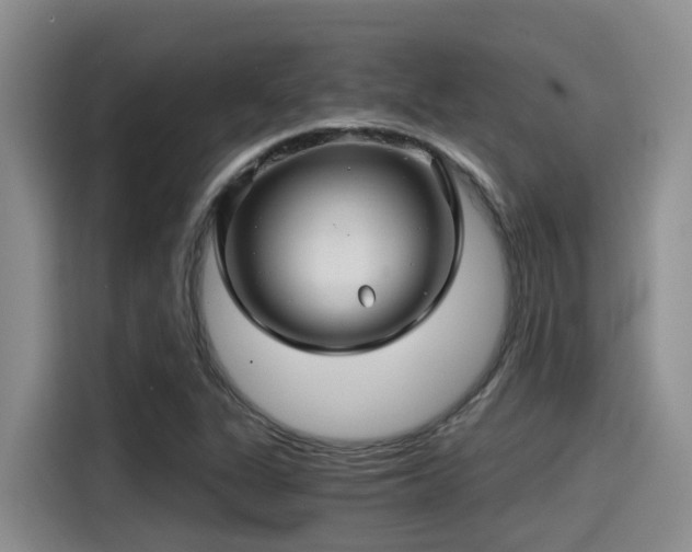 X0000115271311200911061300