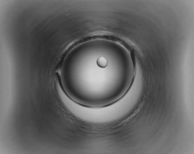 X0000115271313200911061300