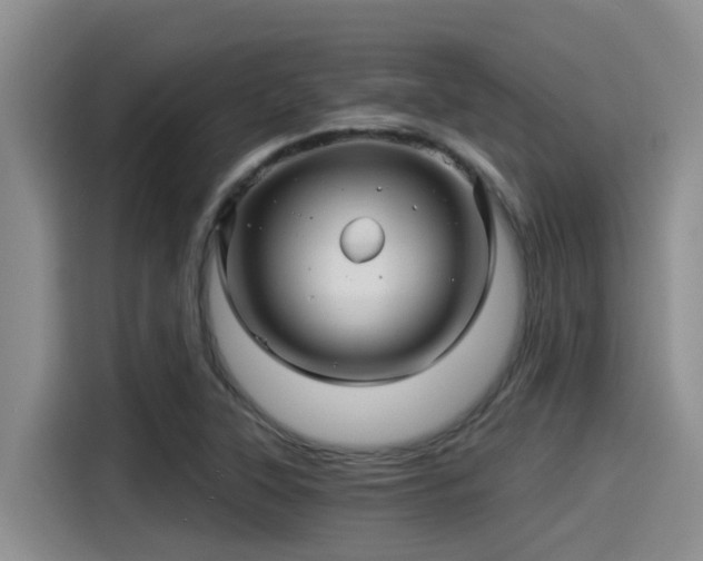 X0000115271315200911061300