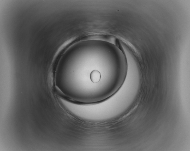 X0000115271317200911061300