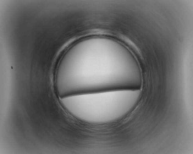 X0000115271318200911061300