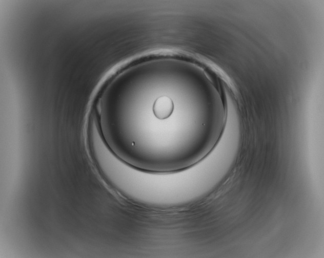 X0000115271327200911061300