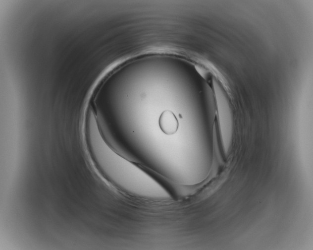 X0000115271331200911061300