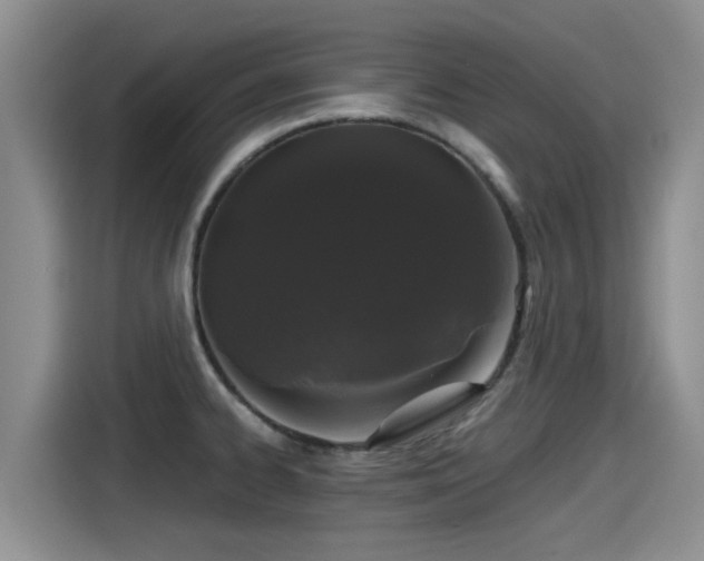 X0000115271334200911061300