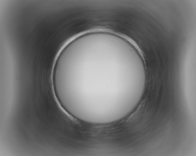X0000115271335200911061300