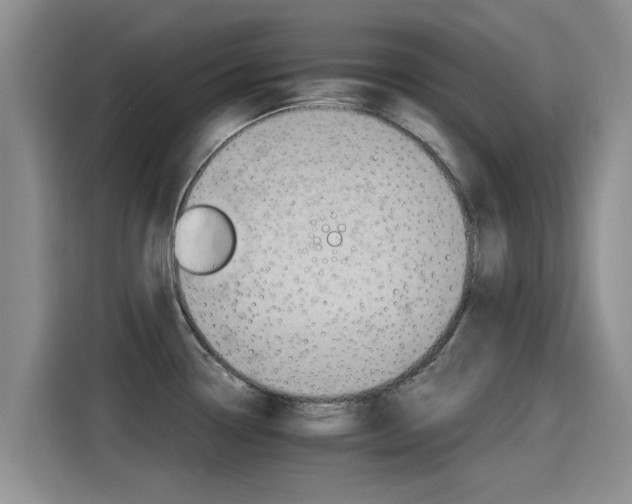 X0000115271338200911061300