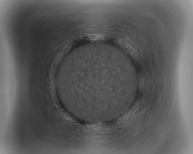 X0000115271345200911061259