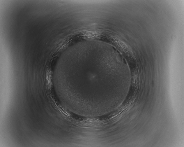X0000115271346200911061259
